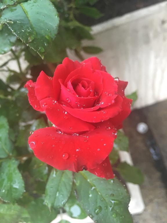Sabye Club Hostel Bangkok Zewnętrze zdjęcie